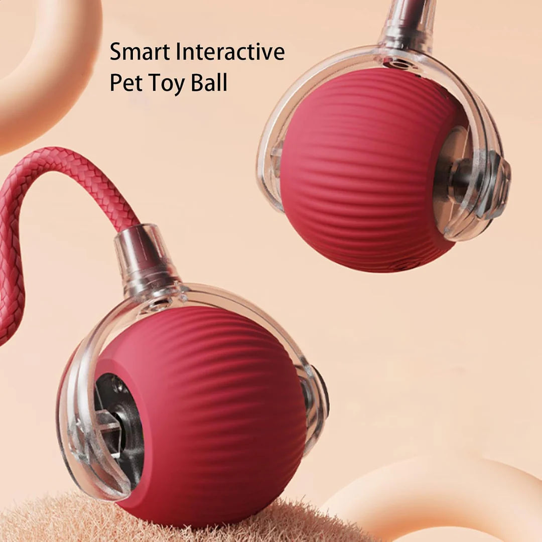 This Week's Special Offer 50% OFF -🔥Active Rolling Ball with Tail for Pet