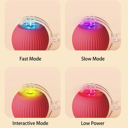 This Week's Special Offer 50% OFF -🔥Active Rolling Ball with Tail for Pet