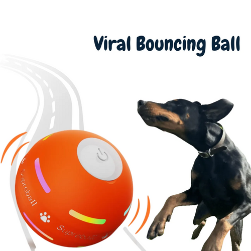 This Week's Special Offer 50% OFF -🔥Bouncing Ball