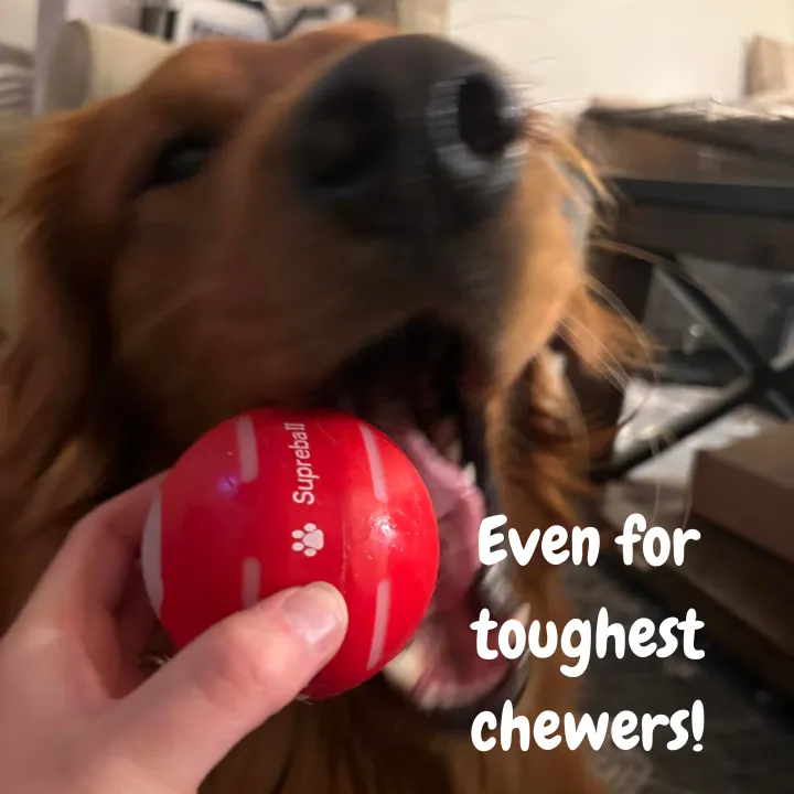 This Week's Special Offer 50% OFF -🔥Bouncing Ball