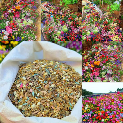 Spring Sale 49% OFF🔥Mixed Perennial Flowers Seeds-Over 60 kinds mixed