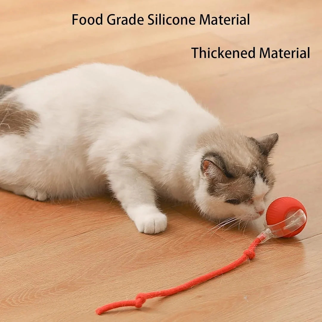 This Week's Special Offer 50% OFF -🔥Active Rolling Ball with Tail for Pet