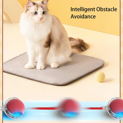 This Week's Special Offer 50% OFF -🔥Active Rolling Ball with Tail for Pet