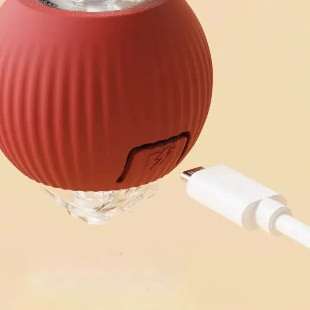 This Week's Special Offer 50% OFF -🔥Active Rolling Ball with Tail for Pet
